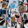 Components Powell Peralta | Pwl/P Grip Sheet 9×33 Animal Chin Collage