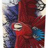 Skateboards Omen | Omen Endangered Macaw Kick Complete-9.5×40